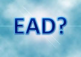 EAD – Mestrado e/ou  doutorado?