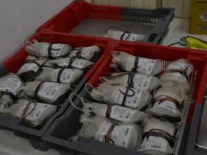 Ao todo foram coletadas 80 bolsas de sangue para o Hemonúcleo de Piracicaba